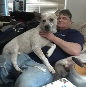 Meet your Posher, Frank